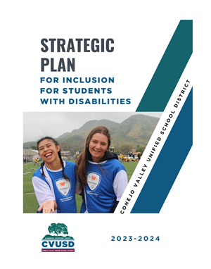 Strategic Plan for Inclusion